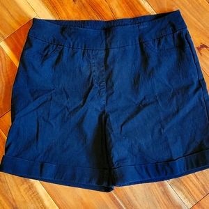 Soft Surroundings Stretch Shorts